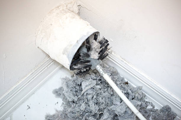 Air Duct Mold Removal in KS